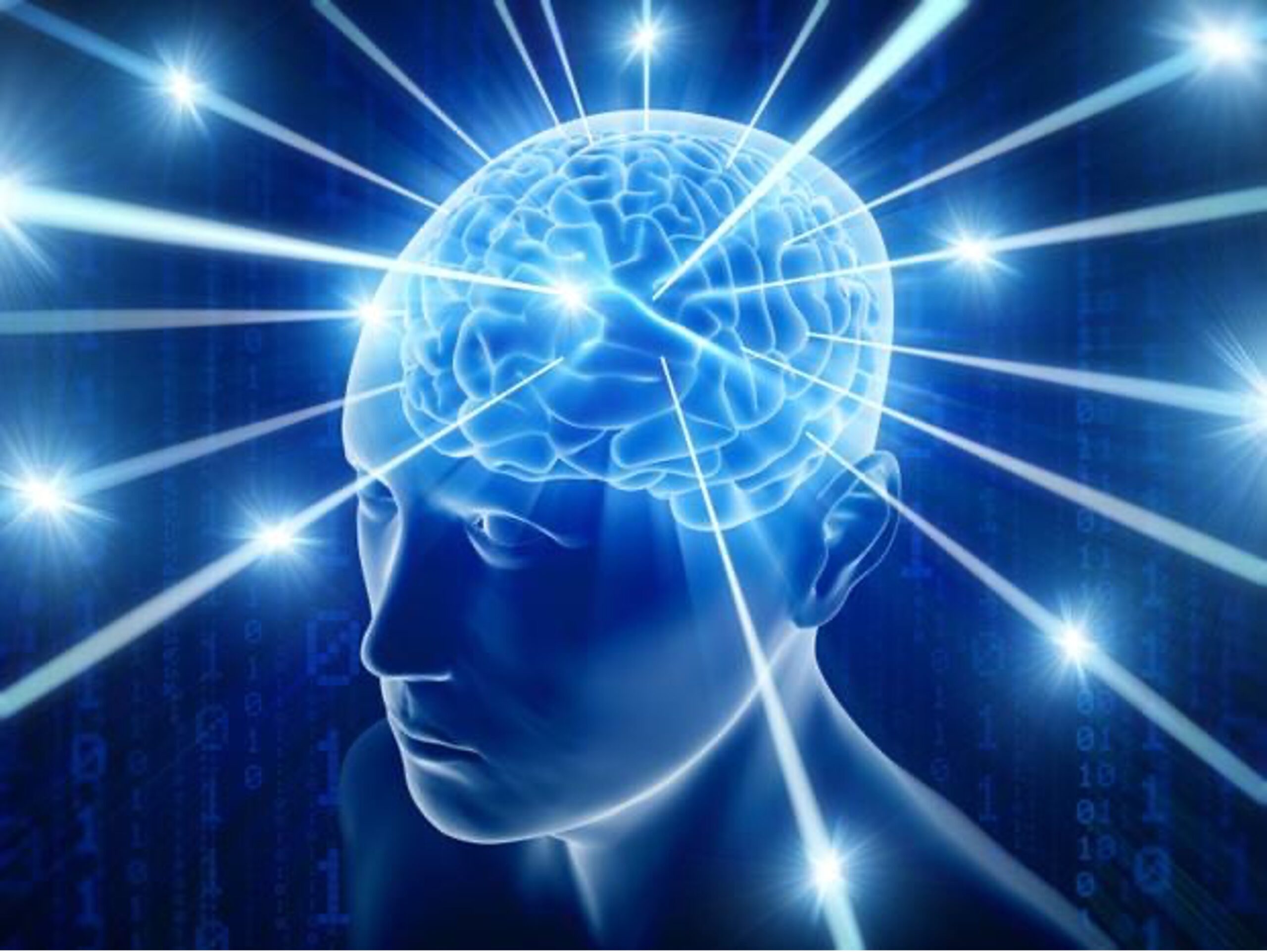 brain
