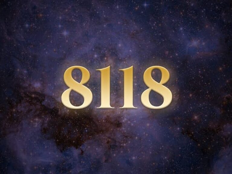 81 18