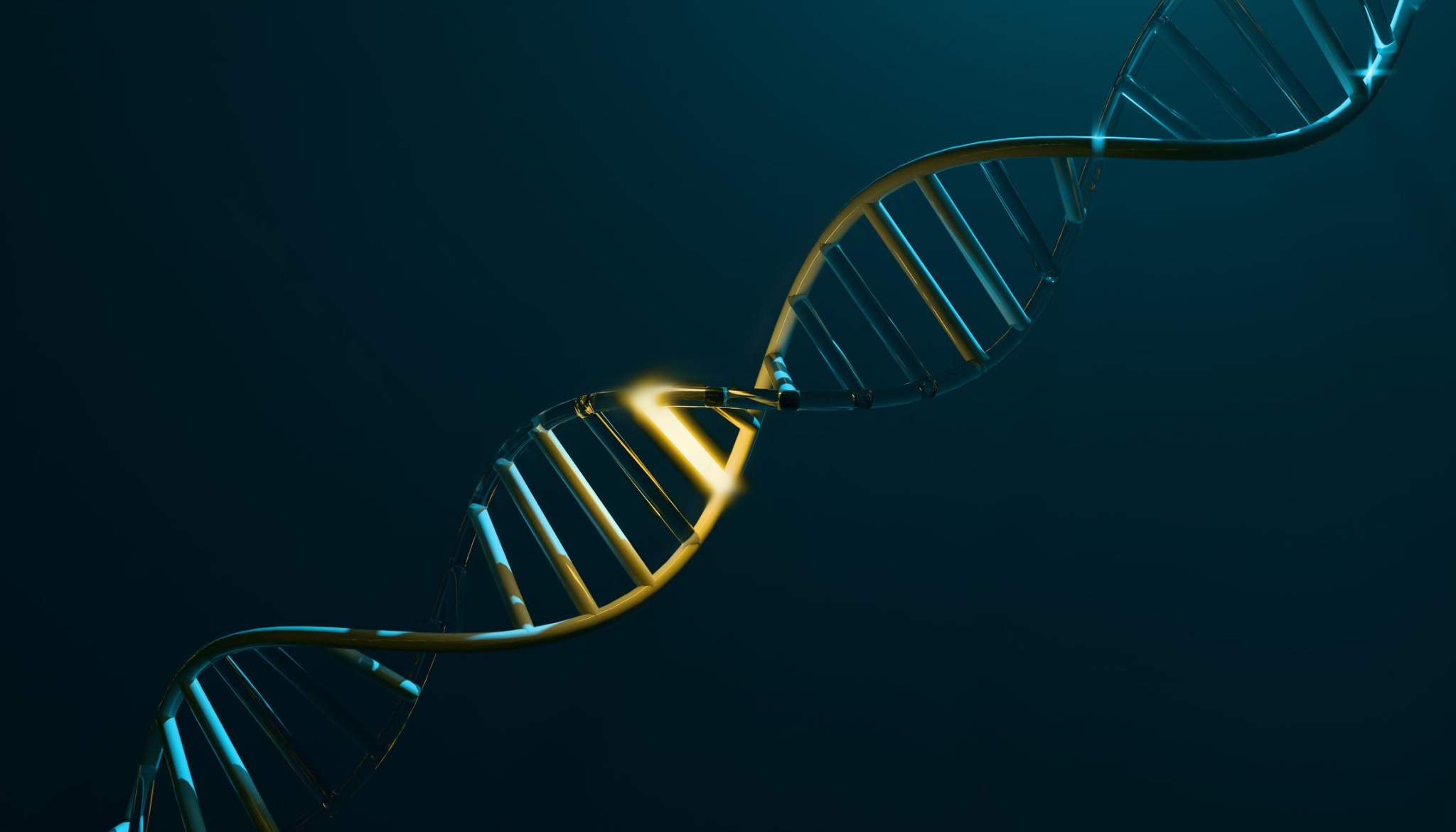 Heliks DNA dengan satu bahagian diserlahkan sebagai gambaran kedudukan gen