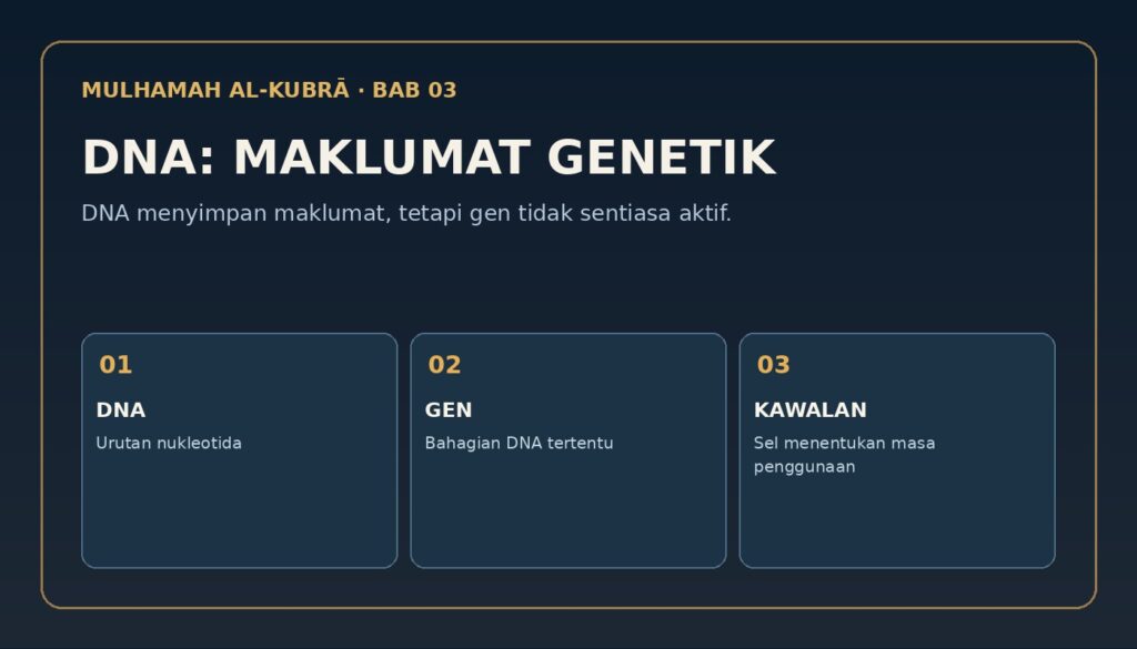Infografik Bab 3: 1. DNA bukan sekadar huruf yang tersusun
