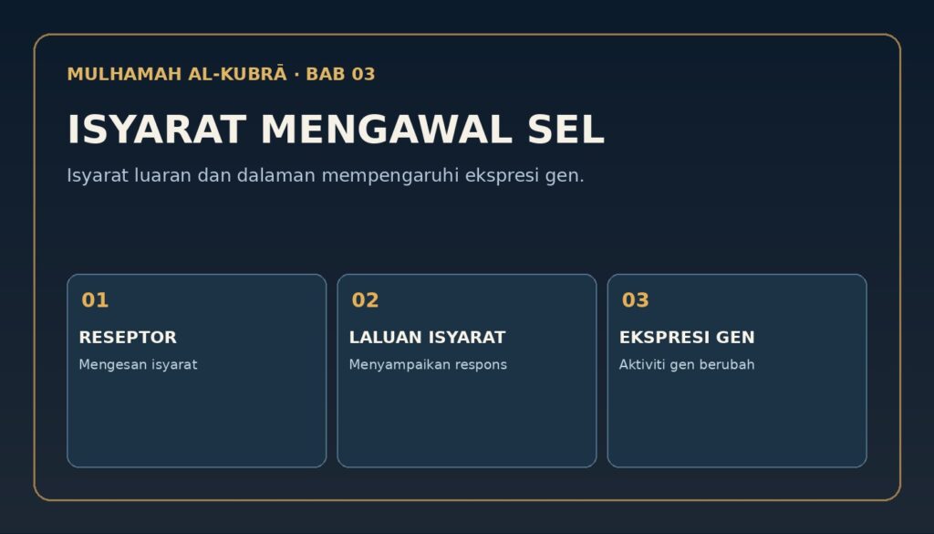 Infografik Bab 3: 3. Siapa menghidupkan dan memperlahankan gen?