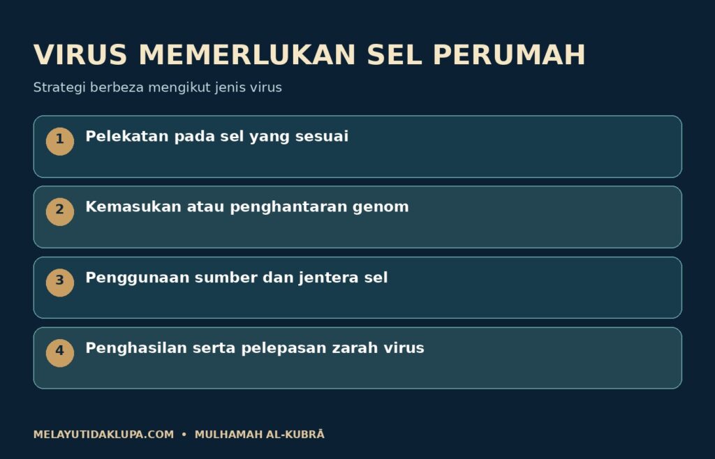Tahap umum kitaran jangkitan virus; mekanisme berbeza mengikut virus.