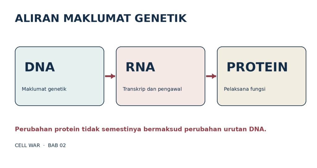 Aliran DNA RNA protein
