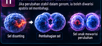 Bolehkah Perubahan Diwarisi oleh Sel Anak?