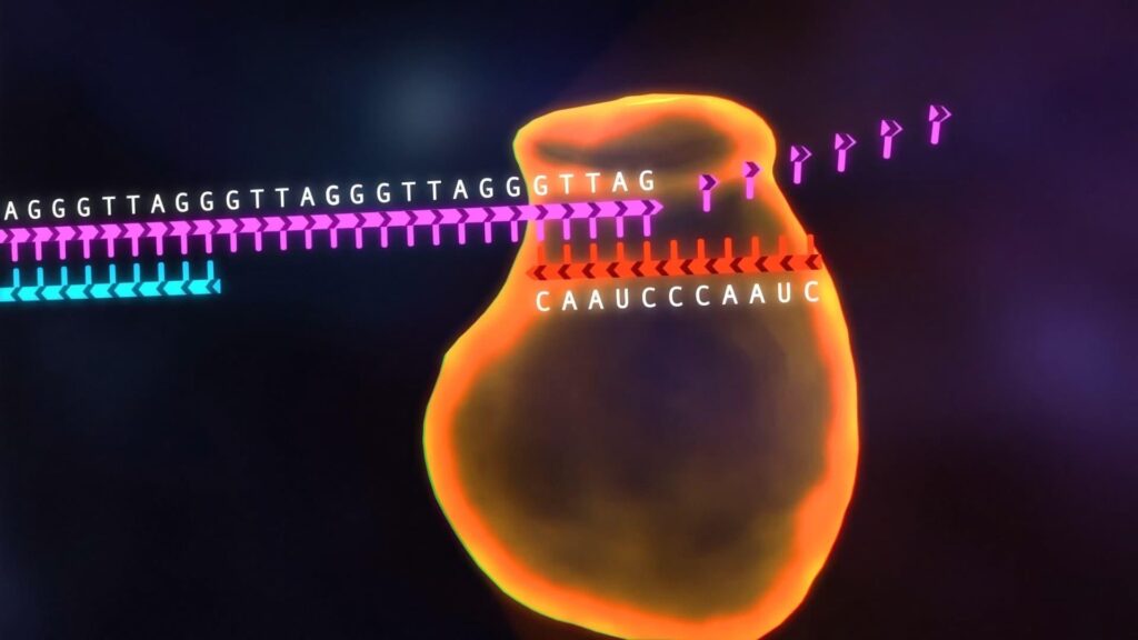 Visual Bab 15: Modified Cell — Bolehkah Pengubahsuaian Mengubah Had Pembahagian?