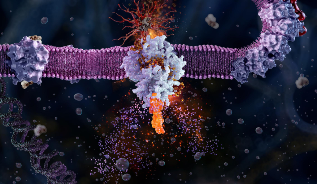 Ilustrasi Bab 16: 06 — CELL SIGNALLING DAN PENGENALAN SEL JIRAN
