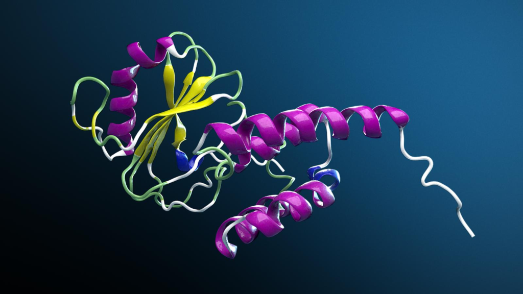 Ilustrasi Bab 17: APAKAH PROTEIN FOLDING?